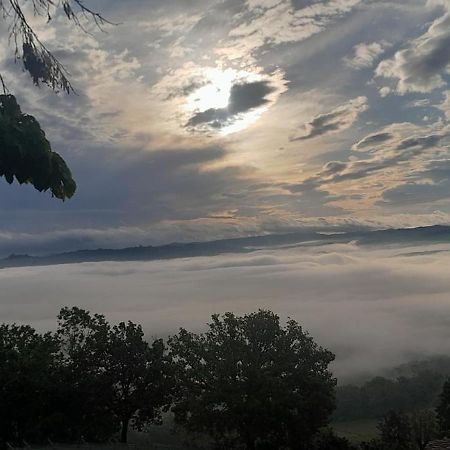 Suite Villa Aurelj Barolo Kültér fotó